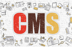 CMS是什么意思？什么CMS系统利于SEO优化
