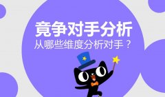 网站分析:了解竞争对手网站SEO数据